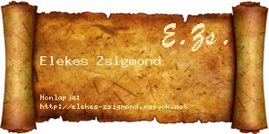 Elekes Zsigmond névjegykártya